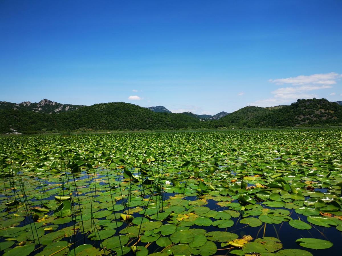 Apartment Dapcevic Skadar Lake Vranjina Экстерьер фото