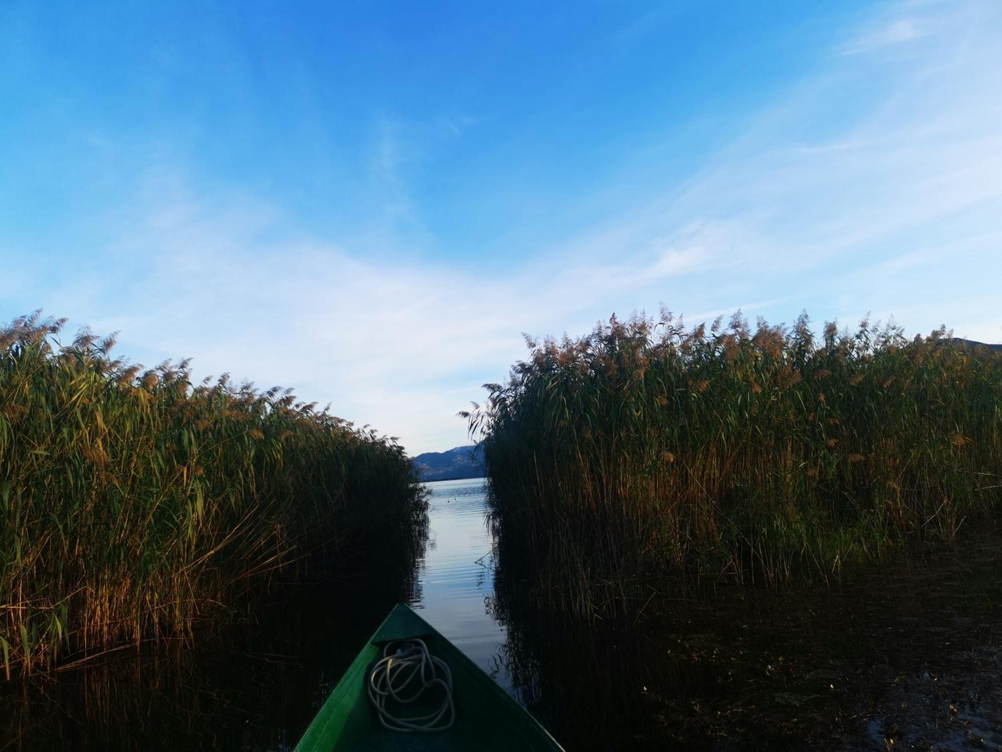 Apartment Dapcevic Skadar Lake Vranjina Экстерьер фото
