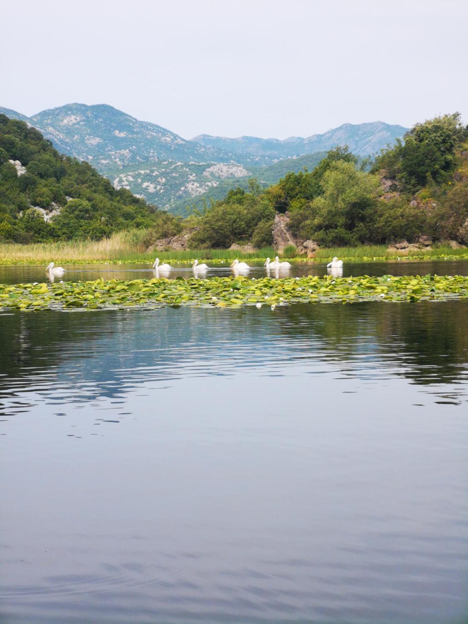 Apartment Dapcevic Skadar Lake Vranjina Экстерьер фото